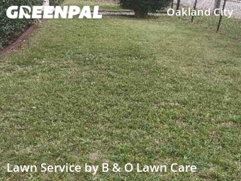Lawn Mowing nearby Atlanta, GA, 