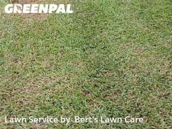 Lawn Cut nearby Delray Beach, FL, 