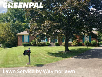 Lawn Mow nearby Jeffersontown, KY, 