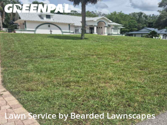 Lawn Care nearby Spring Hill, FL, 