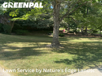 Grass Cut nearby Birmingham, AL, 