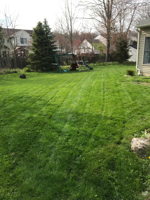 Order Lawn Care in Lakewood, OH, 44107