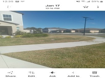 Yard Cutting nearby Land O' Lakes, FL, 