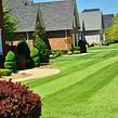 lawn-care-services-in-Hallandale Beach-FL