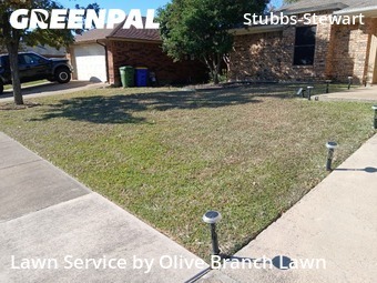 Grass Cut nearby Watauga, TX, 