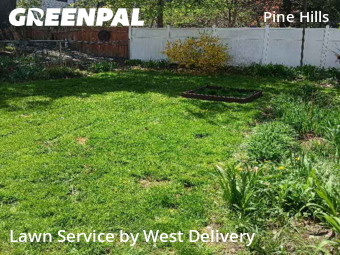 Lawn Cut nearby Albany, NY, 