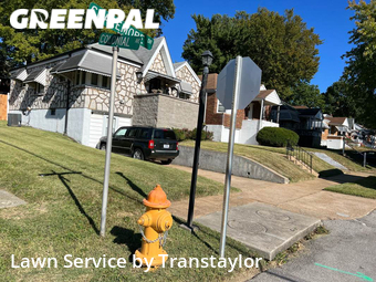 Grass Cut nearby St. Louis, MO, 