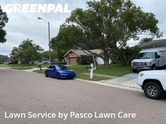 Lawn Cut nearby Palm Harbor, FL, 