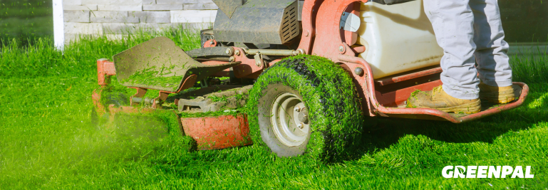 The Best Way to Clean a Lawn Mower Deck (According to the Pros)