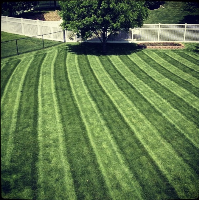 Yard mowing company in Omaha, NE, 68138