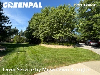 Lawn Mowing Service nearby Denver, CO, 