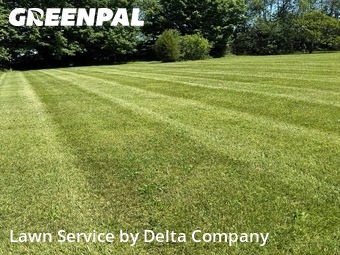 Lawn Mow nearby Bowling Green, KY, 