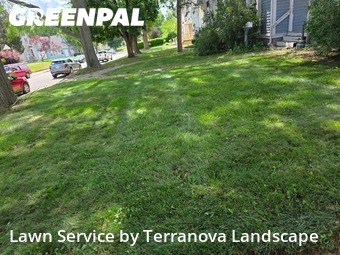 Lawn Mowin Elgin,60120,Yard Mowing by Terranova Landscape, work completed in Nov , 2025
