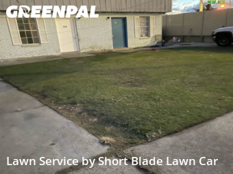 Lawn mowed in Kenner, 70062