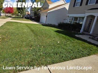 Yard Management in Schaumburg, 60194, Yard Maintenance by Terranova Landscape, work completed in Nov , 2025