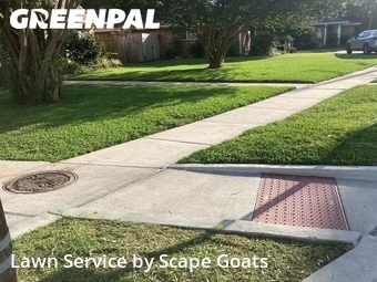 Landscaping Services In Metairie,70006,Landscape Design by Scape Goats , work completed in Jun , 2026