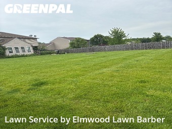 Lawn Mow nearby North Ridgeville, OH, 