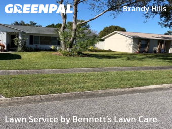 Grass Care in Port Orange, 32129, Lawn Cutting by Bennett’s Lawn Care , work completed in Dec , 2025