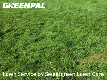 Lawn Cutting nearby Pittsburgh, PA, 