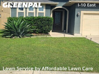 Grass Cut nearby Converse, TX, 