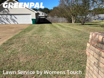 Lawn Cut nearby Tuscaloosa, AL, 