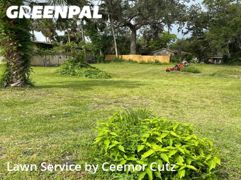 Yard Mowing nearby Daytona Beach, FL, 
