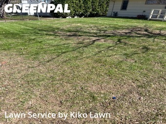 Lawn Cutting nearby Roseville, MN, 