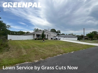 Grass Cut nearby Citrus Springs, FL, 