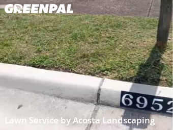 Lawn Mow nearby North Richland Hills, TX, 