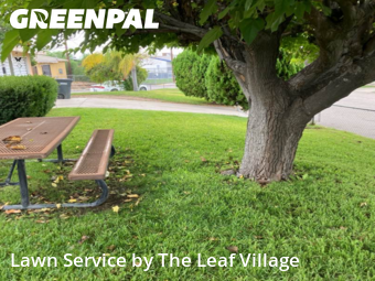 Work completed by lawn-maintenance-in-Colton-CA