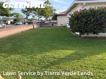 Lawn mowing work completed in Downey, CA