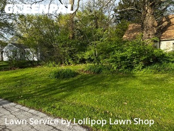 Turf Services in Lima, 45805, Lawn Upkeep by Lollipop Lawn Shop, work completed in Nov , 2025