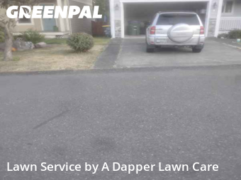 Yard Upkeep in Bellingham, 98226, Weed Trimming by A Dapper Lawn Care, work completed in Nov , 2025