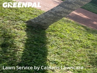 Lawn Cutting nearby Surfside, FL, 