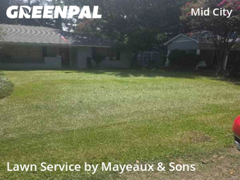 Yard Cutting nearby Baton Rouge, LA, 