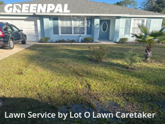 Lawn Cut nearby Palm Coast, FL, 