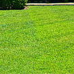 cheap-lawn-cutting-businesses-in-Gary-IN