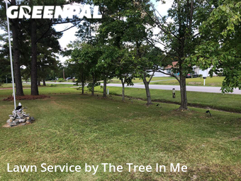 Yard Cutting nearby Hubert, NC, 