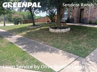Lawn Cutting nearby Haslet, TX, 