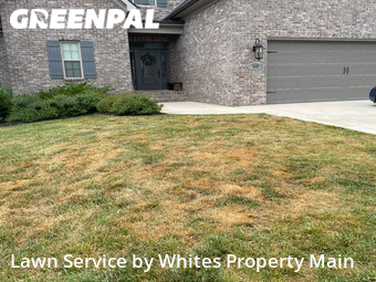 Lawn Mowing nearby Tennessee, TN, 