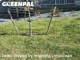 Lawn Cuttingin Castle Rock,80104,Lawn Cutting by Inspiring Landscape, work completed in Feb , 2026