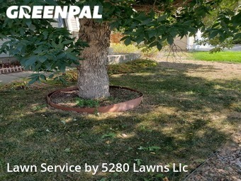 Yard Cutting nearby Fort Collins, CO, 