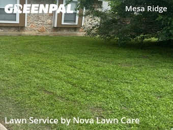 Lawn Service nearby Round Rock, TX, 