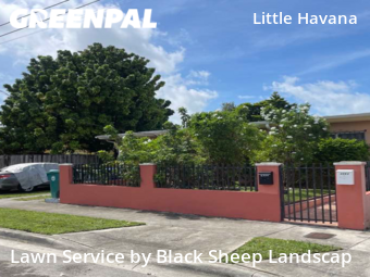 Grass Cut nearby Miami, FL, 