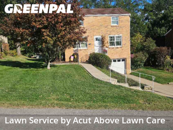 Yard Services in Bethel Park, 15102, Yard Management by Acut Above Lawn Care, work completed in Nov , 2025