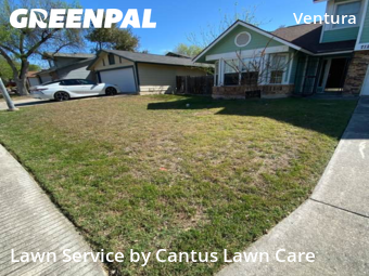 Lawn Cutting nearby San Antonio, TX, 