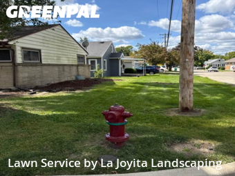 Lawn Mow nearby Joliet, IL, 