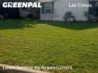 Lawn Service nearby Austin, TX, 