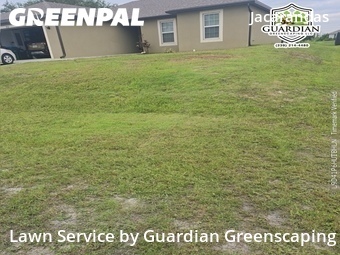 Landscaping Renovation In Cape Coral,33909,Landscaping Installation by Guardian Greenscaping, work completed in Jun , 2026