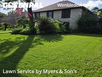 Lawn Mow nearby Spring, TX, 